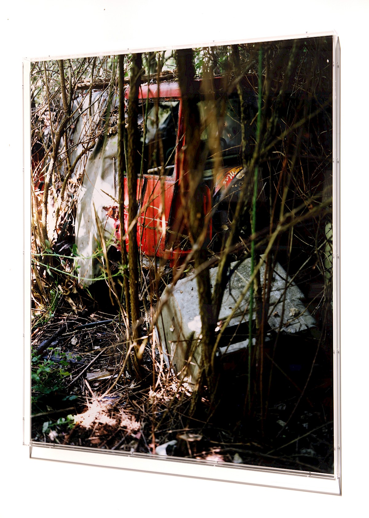Image – Red Car Max, 2026 Image – Red Car Max, 2026